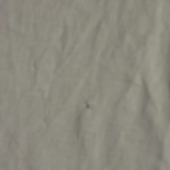 Vintage Jantzen Clean Water Whale T-Shirt. Made in USA. XL. GUC. - Picture 2 of 6